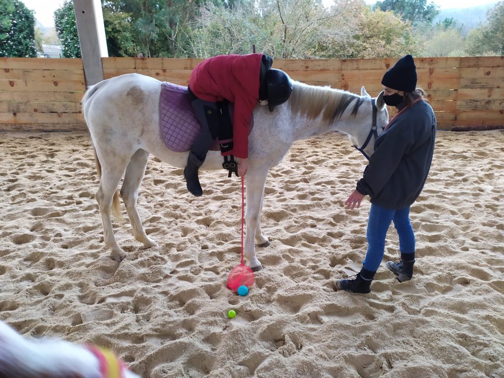 Terapia asistida con animales, terapia con caballos