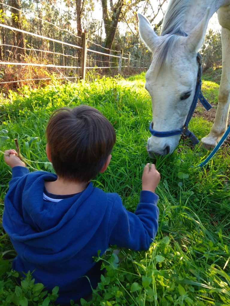 Terapia infantil y terapia con caballos